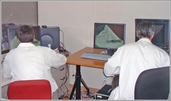 haptic simulation of bone
surgery